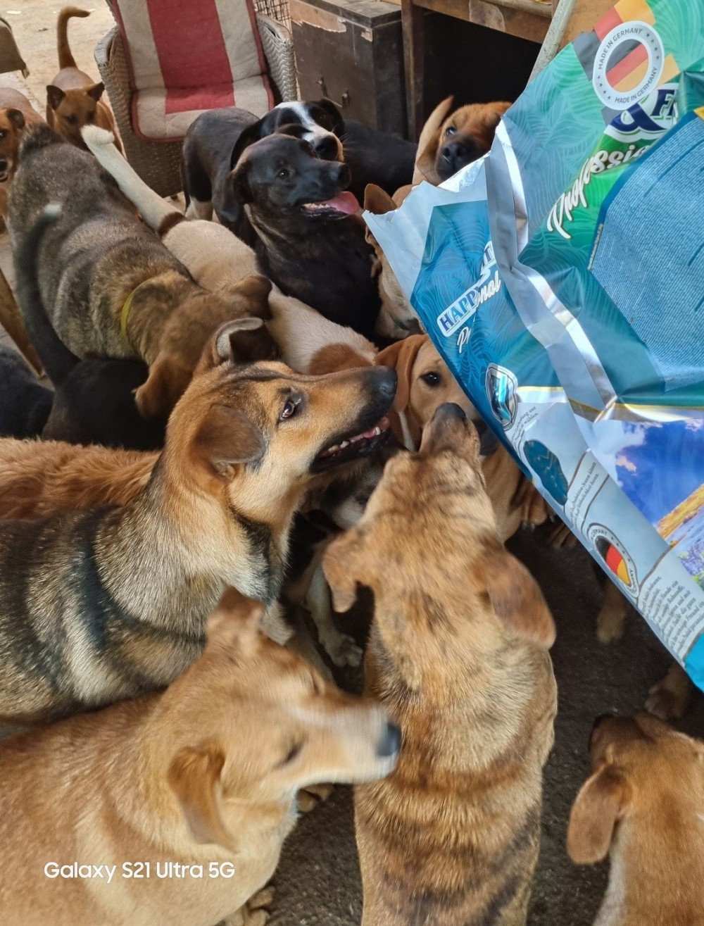 Lyukó Tappancsai Állatvédő Egyesület