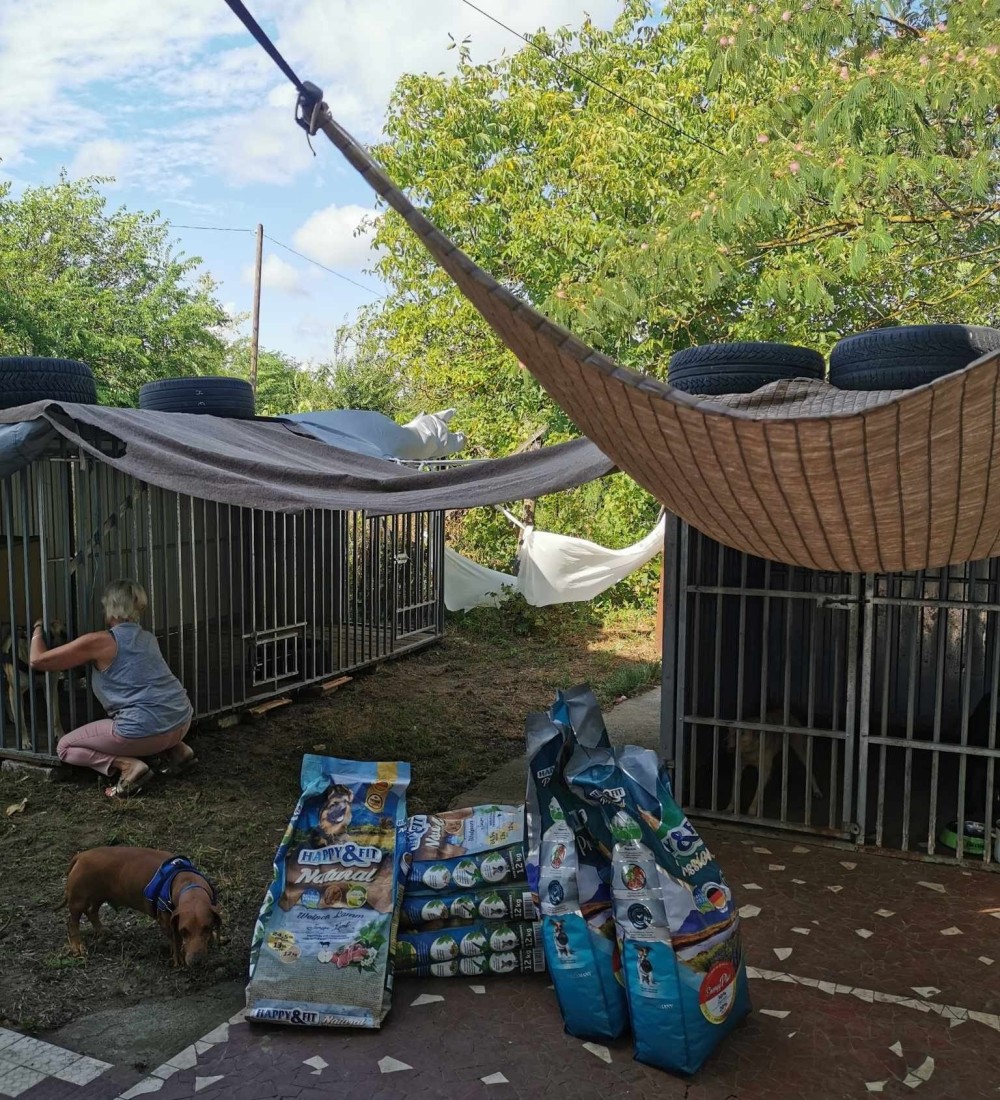 Mancs a Szívre Ifjúsági Centrum.