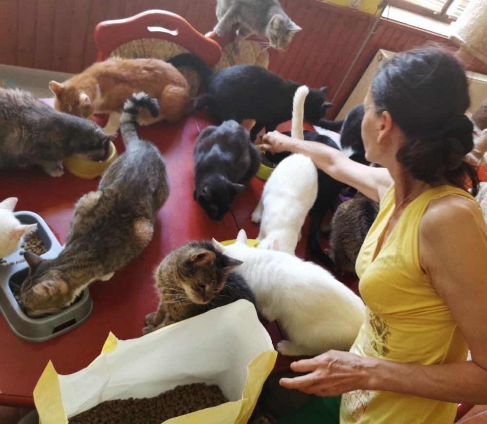 Szoboszlói Bársonytalpúak Menedéke 